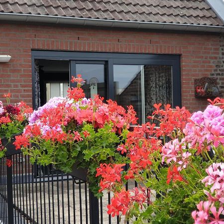 B&B 'T Merthoes Susteren Dış mekan fotoğraf