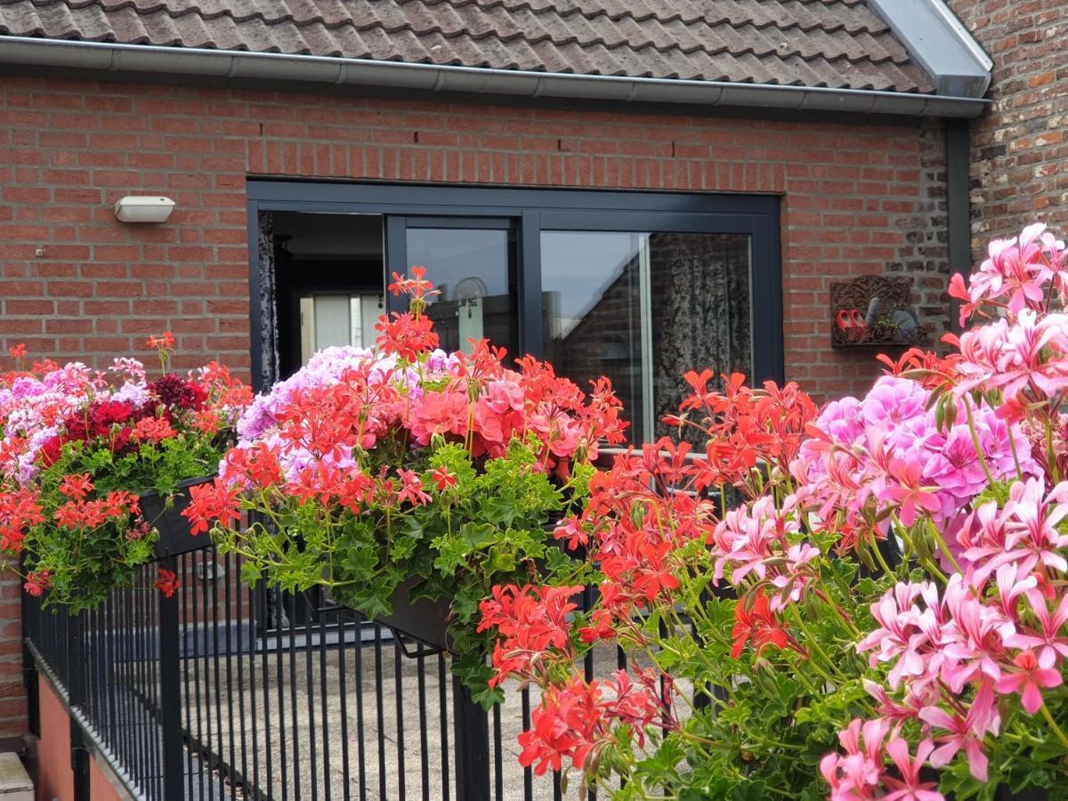 B&B 'T Merthoes Susteren Dış mekan fotoğraf